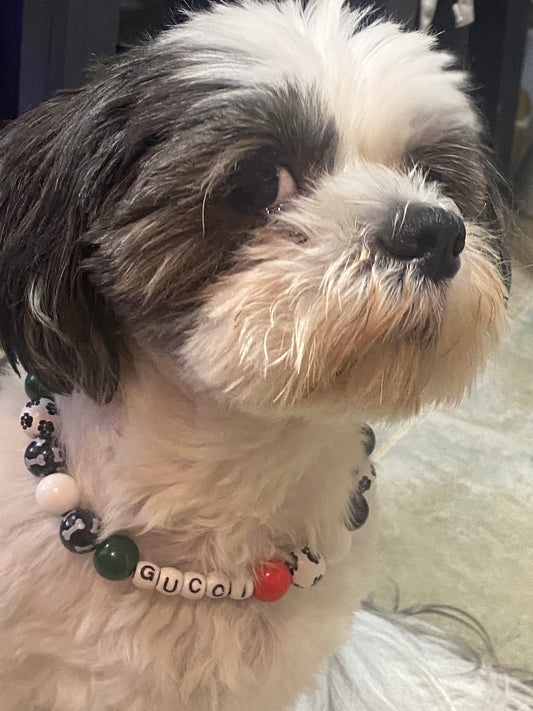Pet Collars